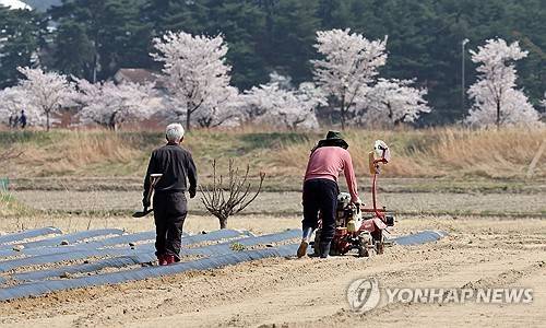 농사하는 농부 [연합뉴스 자료사진]