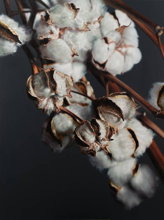 Johyun Gallery, Kang Kang Hoon, Cotton, 2025. Oil on Canvas, 259 x 194 cm