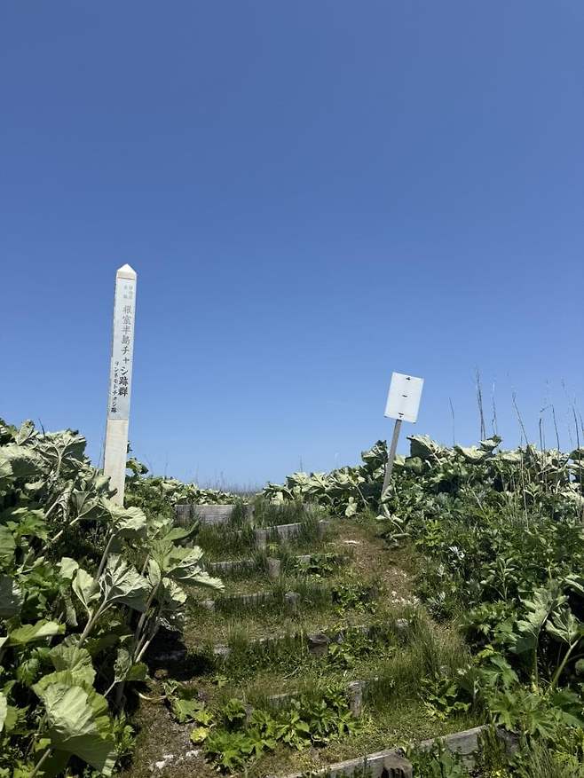 viewimage.php?id=23b2db27ebc637&no=24b0d769e1d32ca73de883fa1bd62531caf022a001a6328b8fcf4dbd347d71c79e5c7b61871f7f21be96f13a4f7f1dde51e9ef36912dfd8d824ebbb6497b6f58f00ac0