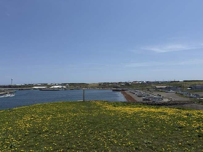 viewimage.php?id=23b2db27ebc637&no=24b0d769e1d32ca73de883fa1bd62531caf022a001a6328b8fcf4dbd347d71c79e5c7b61871f7f21be96f13a4f7f1dde51e9ef36912dfd8a8741baec1f2c39587010ea