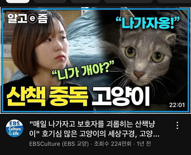 ebs 유튜브 채널에서 재탕중인 컨텐츠