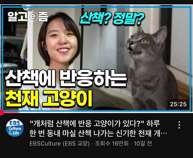 ebs 유튜브 채널에서 재탕중인 컨텐츠