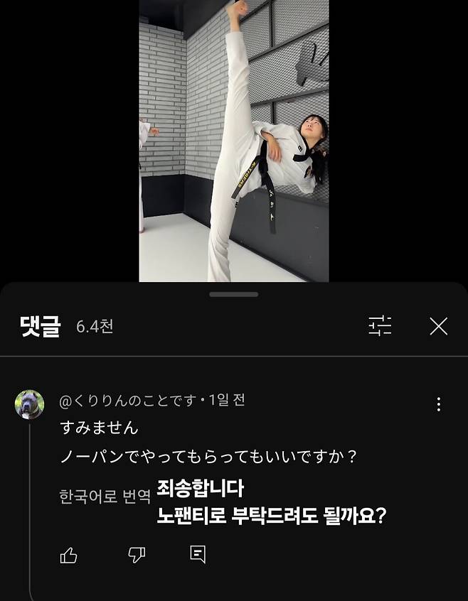 Screenshot_20250605_170016_YouTube.jpg 태권도 영상에 관심있는 일본인 댓글에 대해 알아보자