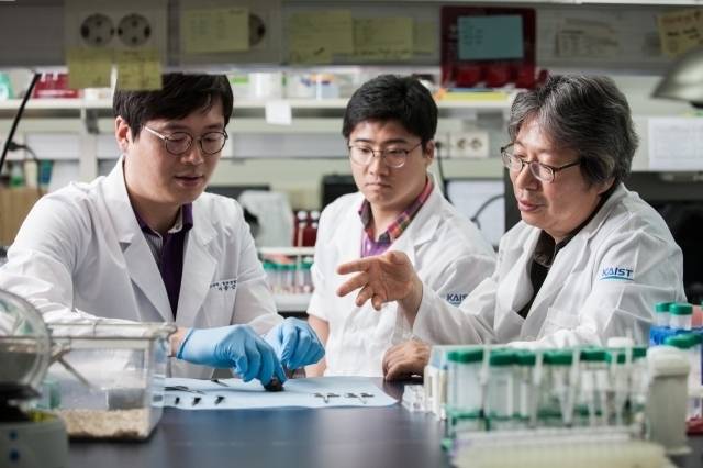 고규영(오른쪽) IBS 혈관연구단장.[IBS 제공]