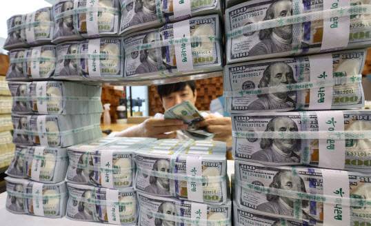 서울 중구 하나은행 위·변조 대응센터에서 직원이 달러를 정리하고 있다. (사진=연합뉴스)