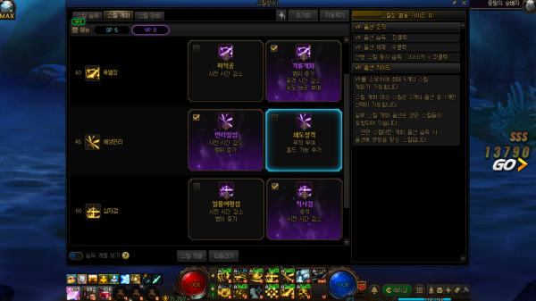 - 베가본드 스킬 개화 예시