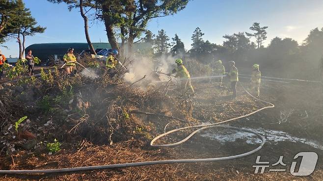 지난 5일 조천읍 과수원 방풍림 화재 현장.(제주소방안전본부 제공. 재판매 및 DB 금지)