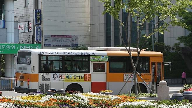 울산시내버스. 울산시 제공