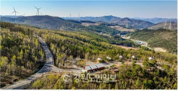 ▲ 해발 1000m 이상의 국내 최 고원지대에 형성된 삼수동 등 태백 북부권이 용연동굴·산림치유·풍력발전 등 고지대의 장점을 활용한 산악관광의 중심지로 도약하고 있다. 매봉산 천상의 숲 전경.