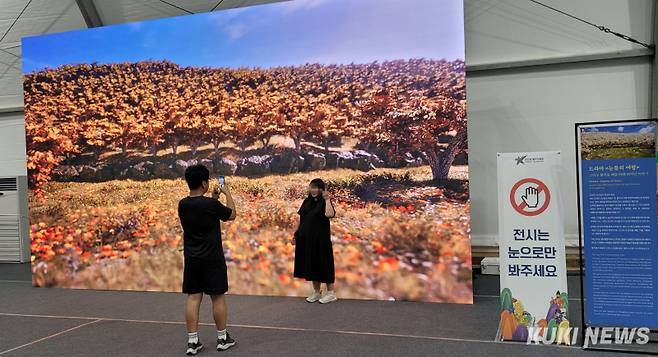 천안 K-컬처박람회 ‘영상·웹툰·게임전시관’.&nbsp; 6일 드라마 '눈물의 여왕' 배경이 됐던 천안 성환읍 왕지봉 배꽃단지 4계절을 실감미디어아트로 재현한 영상물이 큰 인기를 끌었다.&nbsp; 조한필 기자