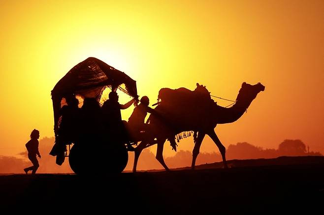 한 여행객이 인도에서 낙타 사막 투어를 즐기는 모습 [사진 출처 = AFP 연합뉴스]