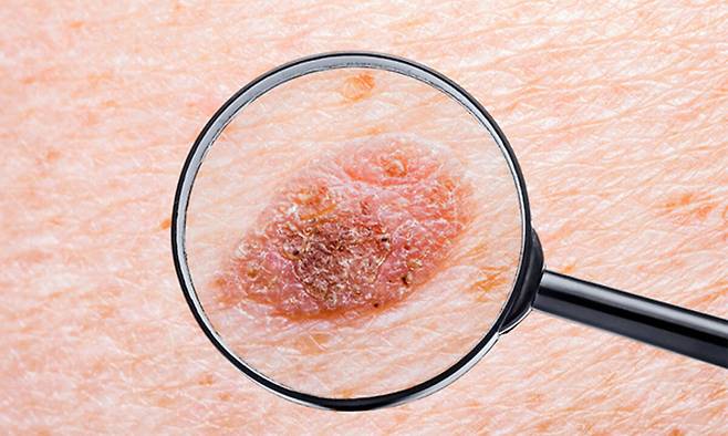 사진=게티이미지뱅크