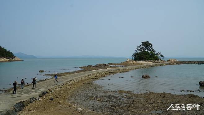 소등섬은 밀물과 썰물에 따라 하루 두세 차례씩 섬까지 걸어서 갈 수 있는 길이 이어졌다 다시 바다 속으로 잠기는데 이때마다 섬의 모습이 사뭇 달라진다      장흥｜김재범 기자 oldfield@donga.com