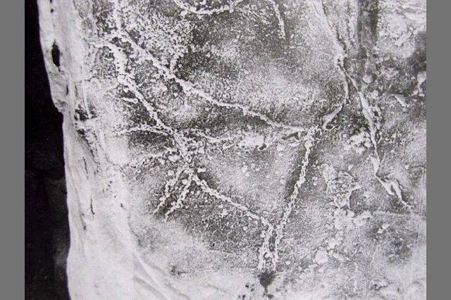 반구대 암각화 유적에 새겨진 사슴 문양. 동삼동패총에서 나온 사슴선각문토기의 사슴 그림과 양식이 동일하다. 이는 신석기시대 부산과 울산에 거주했던 신석기인들이 문화와 생활양식을 공유하는 메가시티적 삶을 살았다는 것을 추정케 한다. 부산일보DB