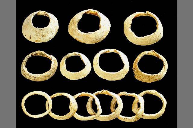 부산 동삼동 패총 유적지에서 발견된 조개 팔찌. 완성된 팔찌뿐만 아니라 완성되지 않거나 부서진 조개팔찌도 다량으로 확인됐다. 동삼동 거주 신석기인들은 뛰어난 기술로 팔찌를 대거 제작, 일본 등에 수출한 것으로 추정된다. 부산일보DB