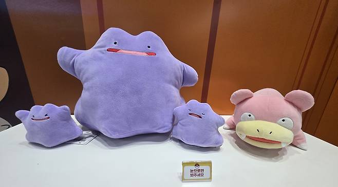 - 멍청미가 돋보이는 듀오