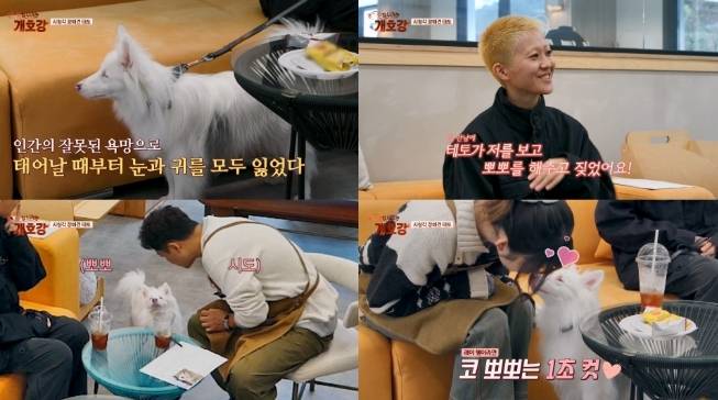 전현무. 사진 | JTBC ‘집 나가면 개호강’