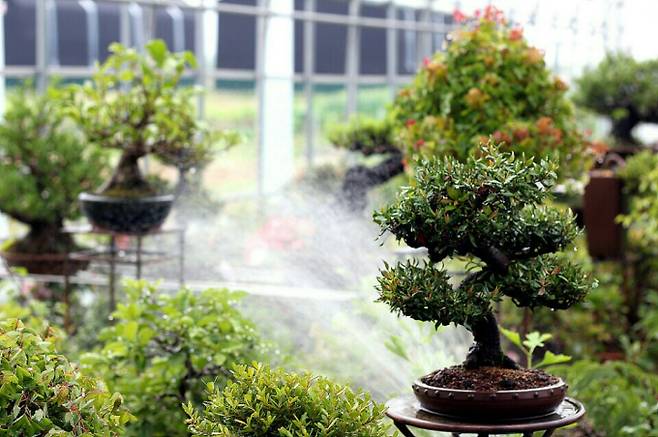 한낮 32도 아! 덥다…강원 영동 강풍 주의[오늘날씨]= 토요일인 오늘(7일) 날씨는 전국이 가끔 구름 많겠으나, 제주도는 대체로 흐리겠다. 전국 대부분 지역에 낮 기온이 25도 이상 올라 덥겠다. 이날까지 내륙을 중심으로 낮과 밤의 기온 차가 15도 안팎으로 크겠다. ⓒbnt뉴스=오늘날씨, 내일날씨, 주간날씨 예보 ⓒbnt뉴스