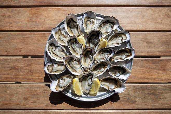 아, 호주 굴 왜 이렇게 맛있지. /호주정부관광청