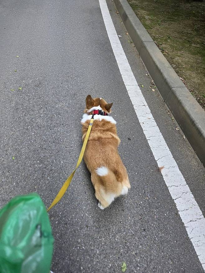 7ced8076b5836ff03fe998bf06d604031bc8ecc3ea3d5144a60e05