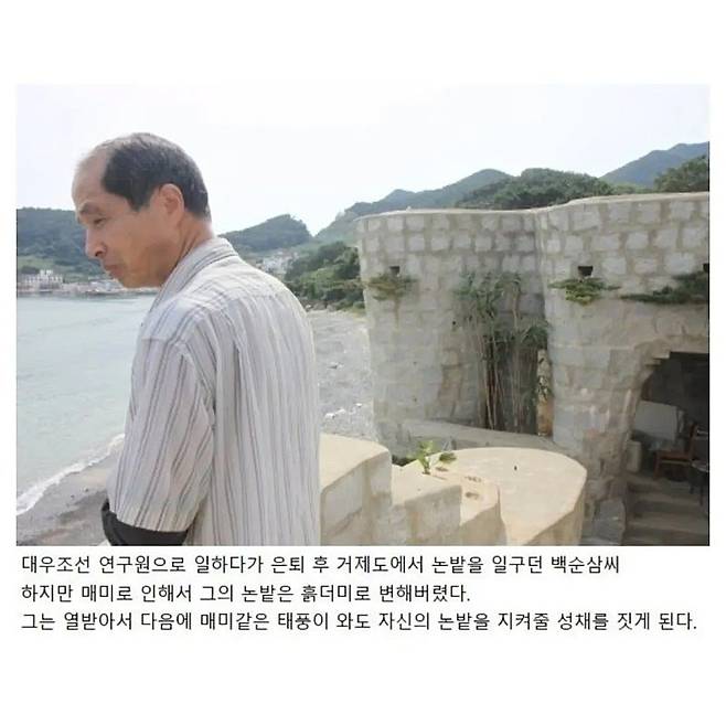 불법건축물이지만 나라에서도 처리 못하는 건물
