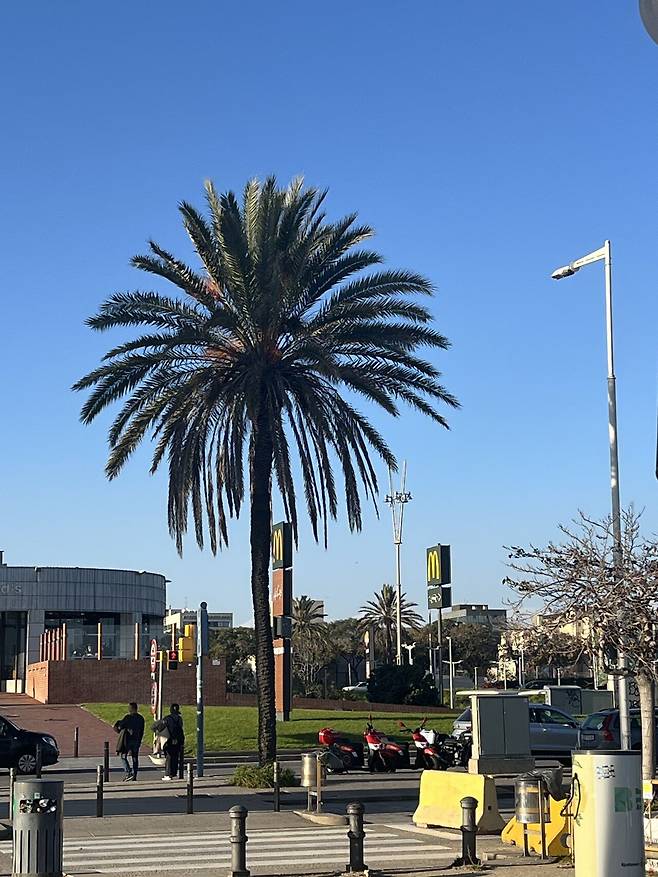 KakaoTalk_20250607_133013652_01.jpg 24년 12월 스페인 여행 - 바르셀로나(스압, 소리주의)