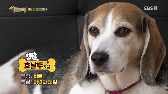 구토 증세를 보이는 호날두 구토 증세를 보이는 호날두