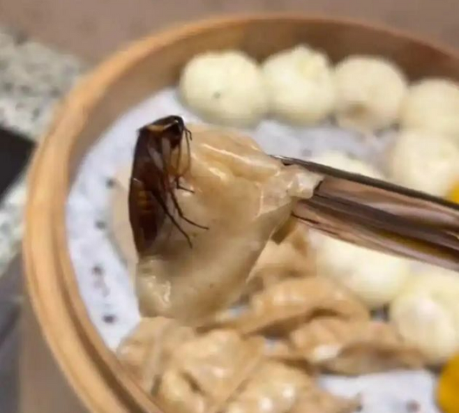 중국 후난성 창사시 쥐즈호텔 조식 뷔페 찜기 속에서 발견된 바퀴벌레. [사진 = 대완신문 갈무리]