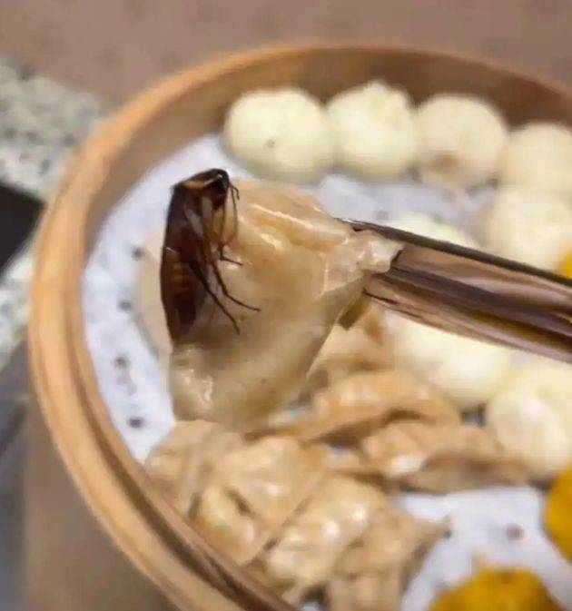 [서울=뉴시스]중국 후난성 창사시의 한 호텔에서 투숙객이 조식 뷔페를 이용하던 중 찜기에 들어 있는 바퀴벌레를 발견해 논란이 일고 있다.(사진=대완신문) *재판매 및 DB 금지