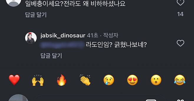 잡식공룡이 누리꾼에게 댓글을 달았다. 인스타그램 캡처.