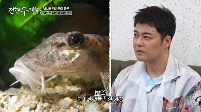 사진 제공=MBN·채널S ‘전현무계획2’