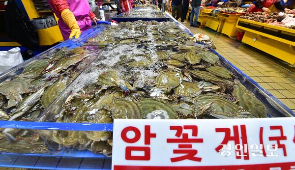 5일 오후 인천의 한 대형종합어시장에서 꽃게가 판매되고 있다. 2025.6.5 /조재현기자 jhc@kyeongin.com