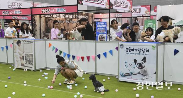 전국적으로 반려동물을 기르는 인구가 크게 늘고 있는 추세인 가운데 관련 산업에 대한 관심도 높아지고 있다. 8일 오후 수원시 영통구 수원컨벤션센터에서 열린 ‘2025 수원 펫＆캣쇼’에서 수많은 관람객들이 반려동물 부스를 둘러보고 있다. 2025.6.8 /이지훈기자 jhlee@kyeongin.com