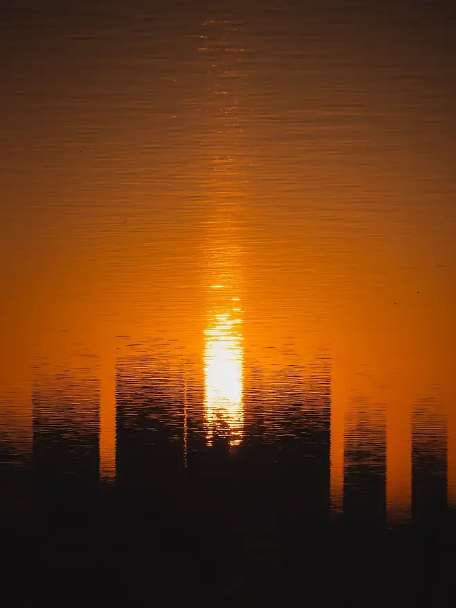 7cf3c723e7c218986abce8954589746b63fa