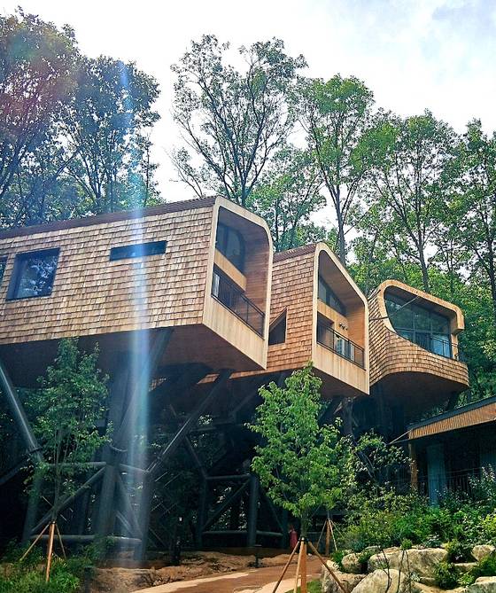 캐나다 단풍나무를 도끼로 찍어서 만든 나무 패널로 외관을 마감한 수락휴 트리하우스. 문희철 기자