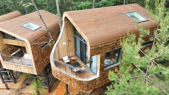 서울 노원구 수락산 동막골에 자리잡은 서울시 최초의 자연휴양림 수락휴. [사진 노원구}