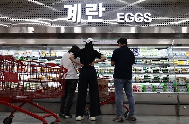 서울의 한 대형마트 계란 코너. 사진=연합뉴스