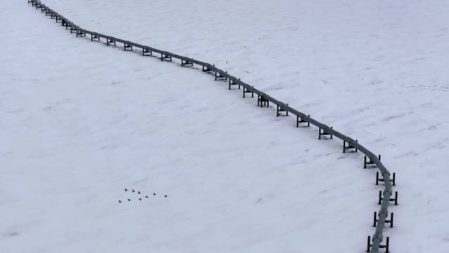 알래스카 파이프라인 전경. AP연합뉴스