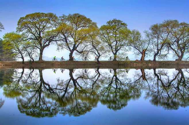 물의 반영이 어울러져 절묘한 풍경을 만드는 반곡지의 풍경_한국관광공사 제공