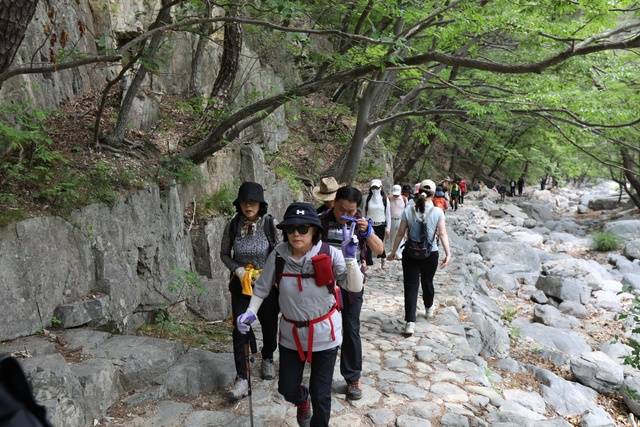지난 8일 포항 내연산에서 열린 전국산행대회에서 참가자들이 보경사~연산폭포 구간을 오르고 있다.