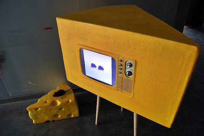 김진영의 작품 'whose cheese?'&nbsp;ⓒ제주의소리