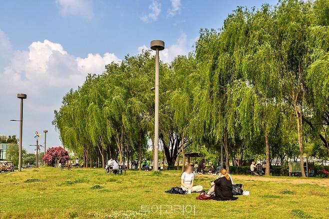 &nbsp;서래섬 피크닉 /사진-서울관광재단