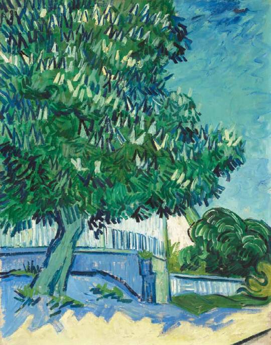 꽃이 핀 밤나무(Blossoming chestnut trees), 63.3 x 49.8㎝, 1890. 5, 고흐가 오베르 도착 3일 만에 그린 첫 풍경화. 흰 꽃이 듬성하게 남은 나무 가지 위로 푸른 하늘이 번지듯 얹히고, 굵은 윤곽선이 나무의 형체를 강하게 고정한다. 크뢸러 뮐러 미술관(Kroller-Muller Museum) 제공