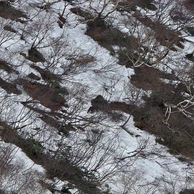 3fb8c32fffd711ab6fb8d38a4f83746ffd0e5caace52ec444c86e51d6647cec29a3005ff97e8c333f8f7f83688a0