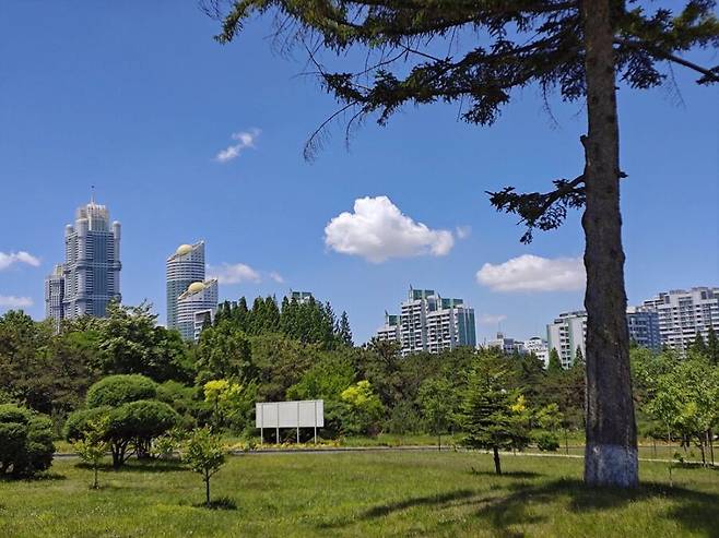 17494498936862.jpeg 김일성 종합대학 초여름 캠퍼스 사진