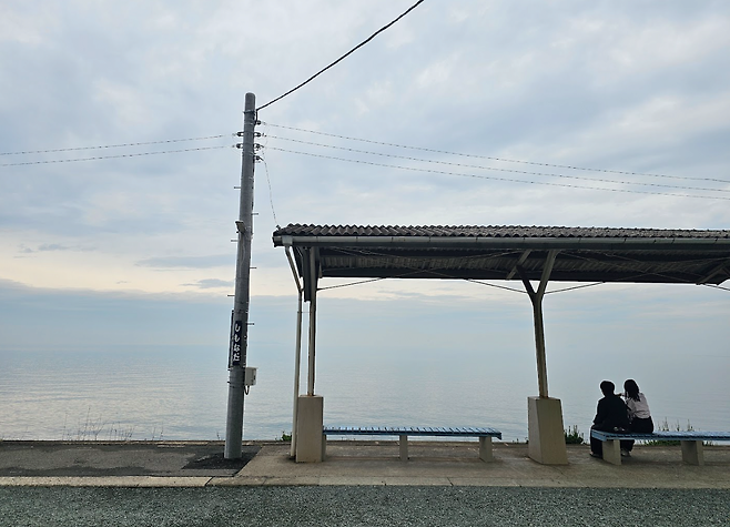 image.png (스압,데이터주의)마쓰야마가 핫한거같아서 올리는 일주일전 다녀온 3박4일 마쓰야마 후기