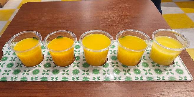 image.png (스압,데이터주의)마쓰야마가 핫한거같아서 올리는 일주일전 다녀온 3박4일 마쓰야마 후기