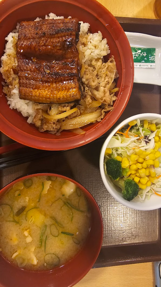 image.png (스압,데이터주의)마쓰야마가 핫한거같아서 올리는 일주일전 다녀온 3박4일 마쓰야마 후기