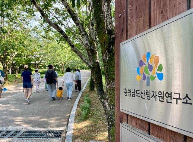 현충일 연휴이던 7일 세종 금남면 충남산림자원연구소 내 자연휴양림을 찾은 시민들이 산책하고 있다. 6월 말 폐쇄 소식이 알려지면서 평소 주말보다 두 배가량 많은 방문객이 찾았다. 세종=정민승 기자