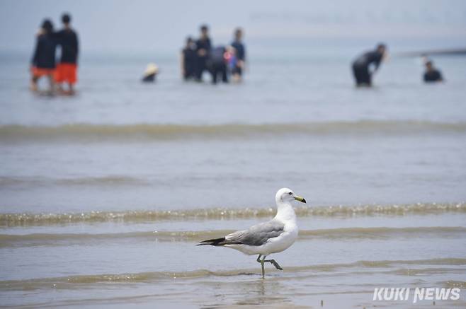 인천 중구 을왕리해수욕장. 쿠키뉴스 자료사진